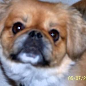 Meet your Posher, Cynthia